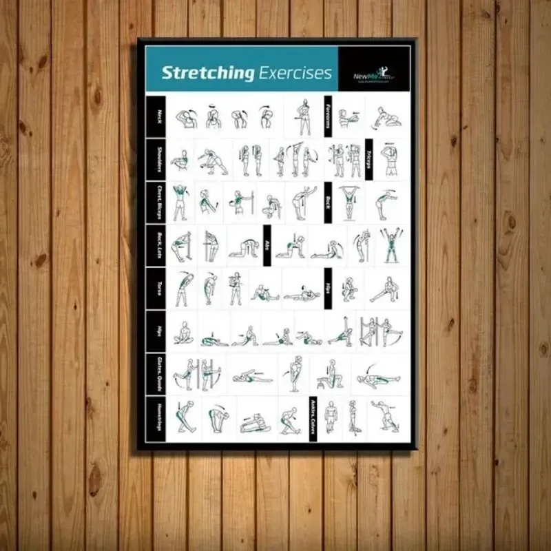 Gráfico de treinamento de exer - Home Gym Minimalist avaliação e preço