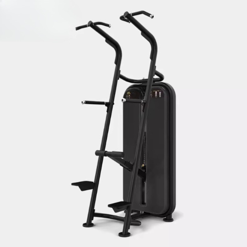 Barra paralela assistida para  - Home Gym Equipment Diy avaliação e preço